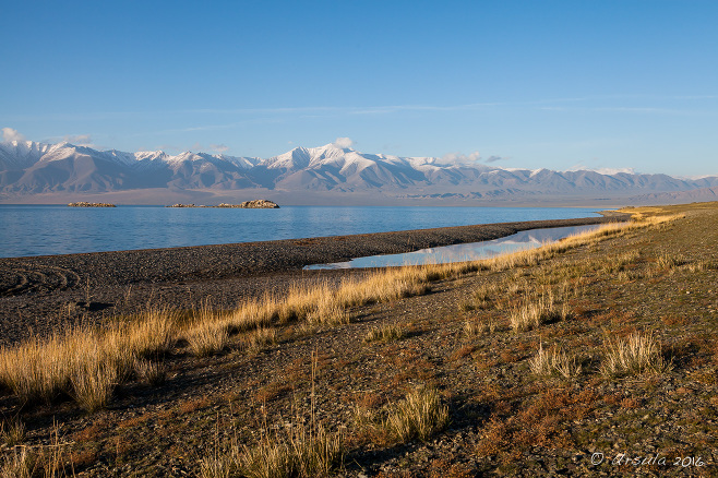 Uureg Lake Foreshore, Altai Mountains, Uvs Mongolia