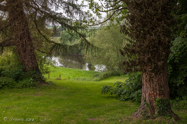 Trees and green grass at the Wye riverside garden, Herefordshire, UK