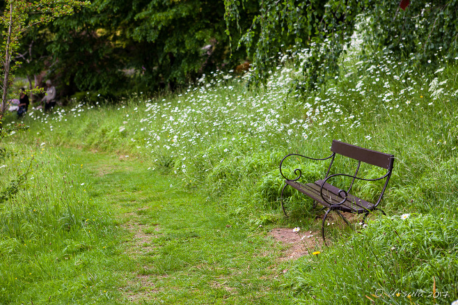 A Quiet Bench, The Weir riverside garden, Herefordshire, UK