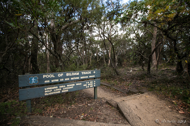 Blue Mountains National Park