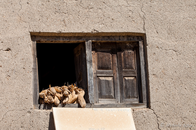 Corn drying in a wooden-framed window, Panauti-Namobuddha Rd, Nepal