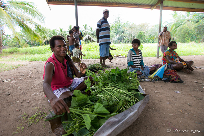 Papuan woman Selling vegetables, Maprik PNG