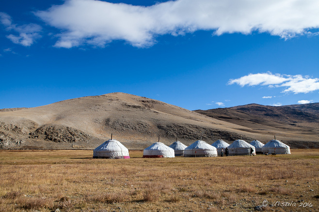 Gers on a plain, Bayan-Ölgii, Mongolia