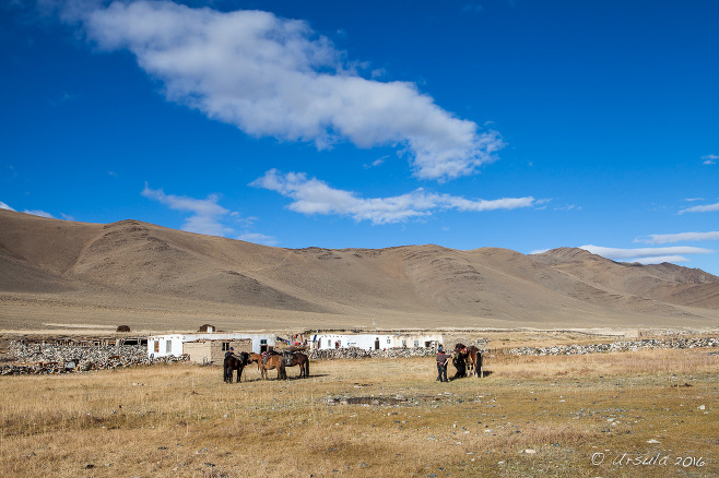 Kazakh Homestead, Bayan-Ölgii, Mongolia