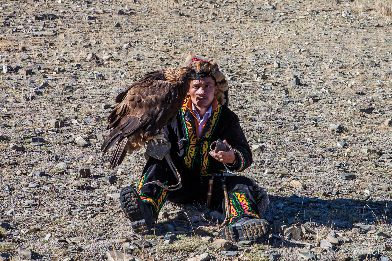 How to Train your Eagle – Part 1 : Bayan-Ölgii, Mongolia » Ursula's ...