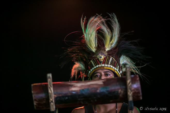 Bird of Paradise feathers adorn the headless of a Papuan drummer from Sorong Samarai, Boomerang Festival 2018, Byron Bay AU