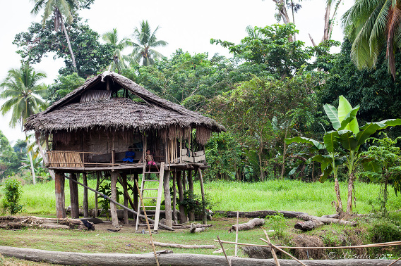 Who Are The Crocodile Men of Papua New Guinea?, Wild Frontiers