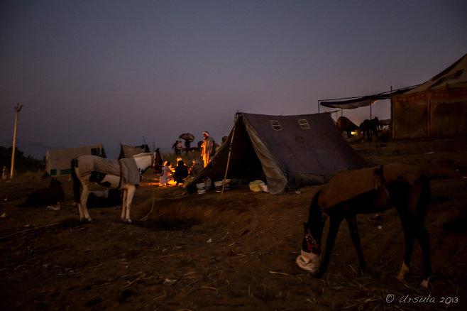 Pushkar tents on a dark morning, lit by fires, India