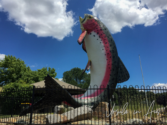 The Big Trout - Adaminaby Australia