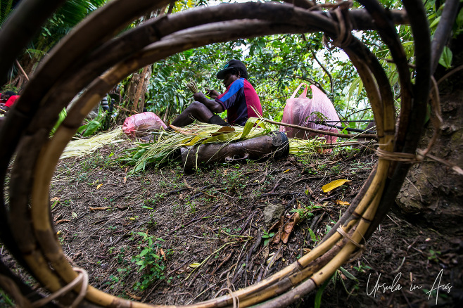 Bent bamboo frames a Papuan man as he prepares his sing sing costume in the Jungle, Kanganaman Village, PNG