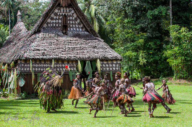 Dancing women and children with a totem cassowary, Kanganaman Village, PNG