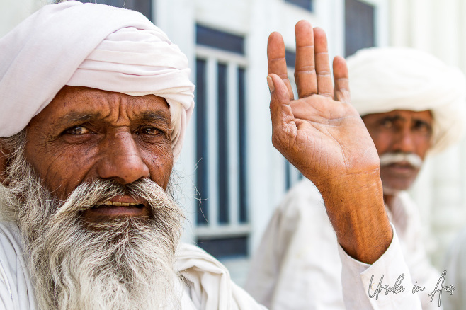 Portrait: Indian man in a white turban, Haridwar, India