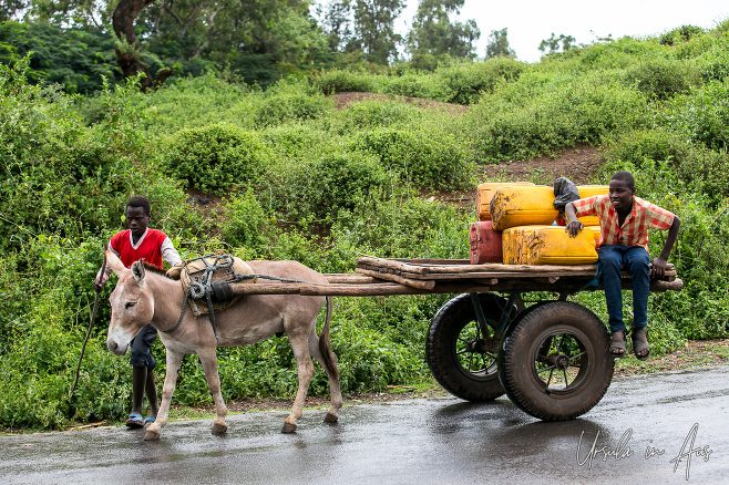 Men with a donkey cart, Stephanie Wildlife Sanctuary, Ethiopia