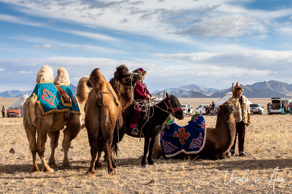 Big Birds Swoop In for Annual Bayan Ulgii Festival