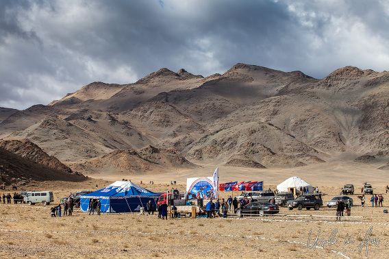 Big Birds Swoop In for Annual Bayan Ulgii Festival