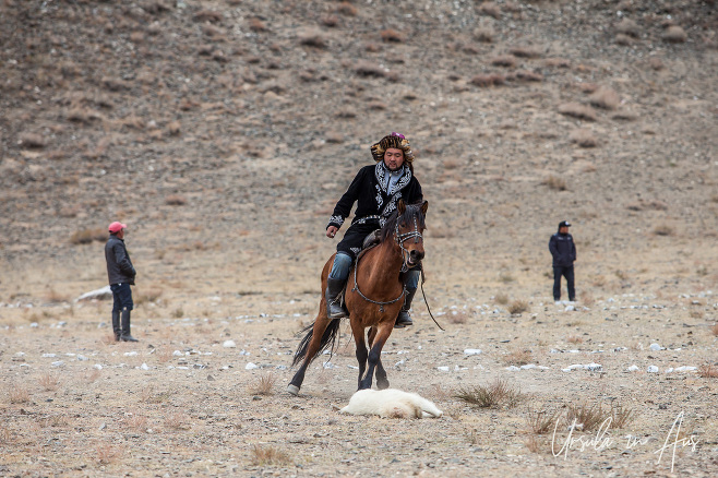 Kazakh eagle hunter horseback with a sheep carcass on the groundGolden Eagle Festival, Olgii Mongolia