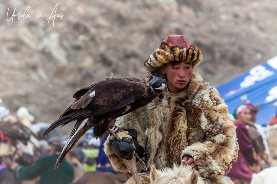 Jogos Tradicionais De Cavalo Kazakh Do Festival Da águia Dourada Foto  Editorial - Imagem de dourado, étnico: 178819986