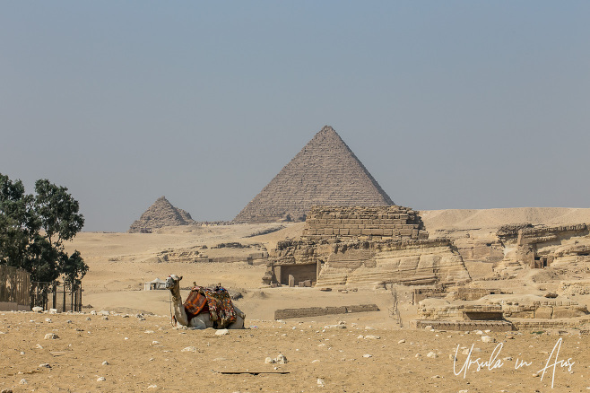 A camel, a Bedouin tent, tumbled ruins, and pyramids on the horizon, Giza Egypt