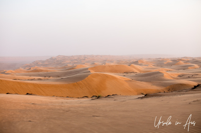 Afternoon light on desert dunes, Wahiba Sands, Oman