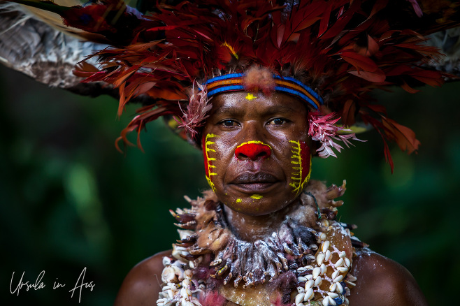 Portrait: Tribal person from Jiwaka Province in traditional costume, Papua New Guinea