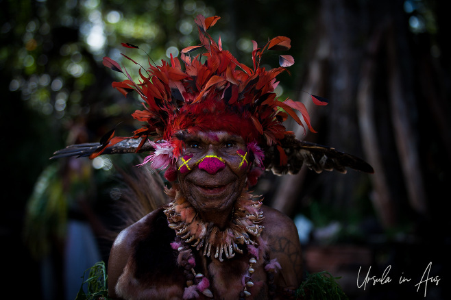 Portrait: Tribal man from Jiwaka Province in traditional costume, Papua New Guinea