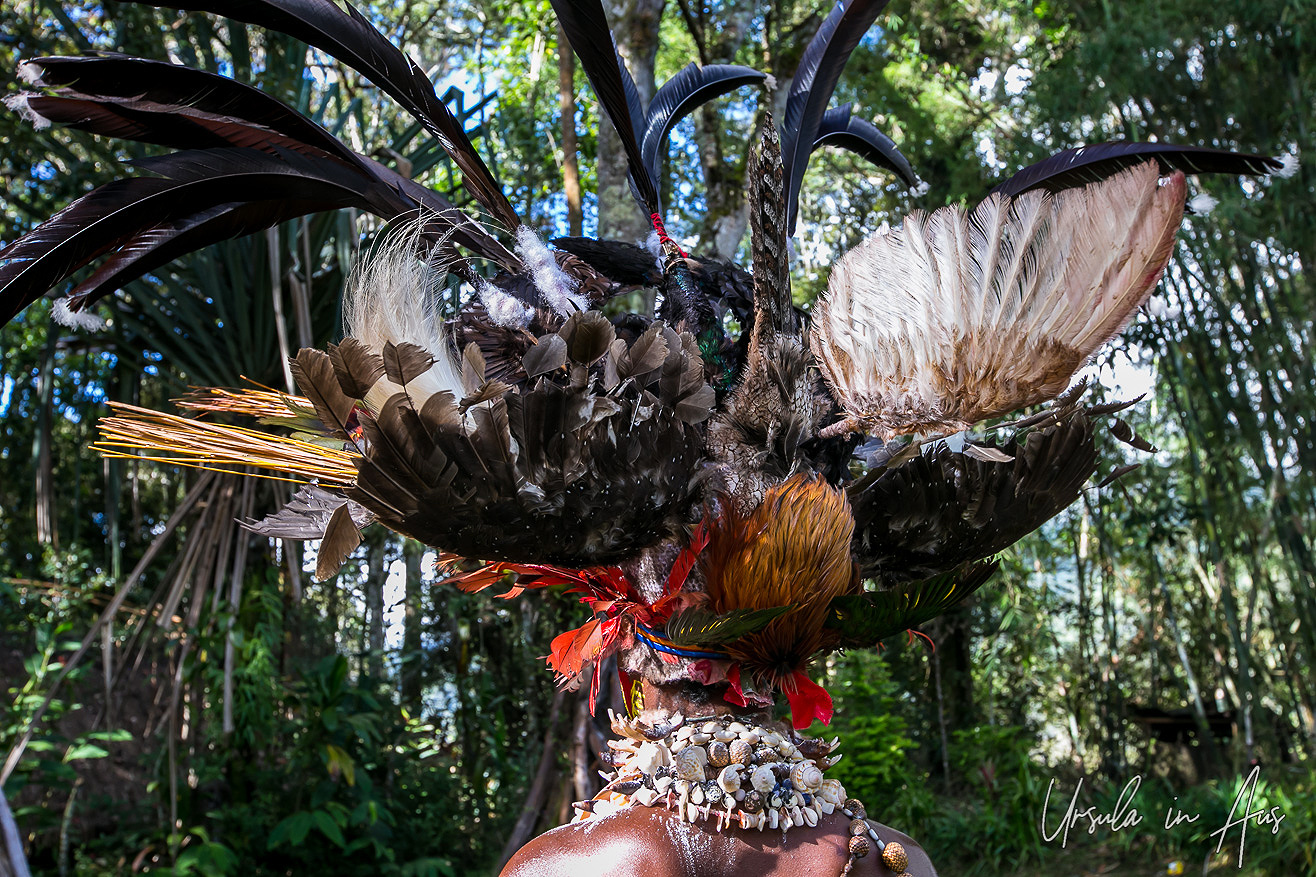 Feathers Fur And Face Paint Jiwaka And Western