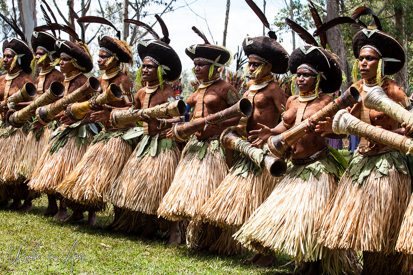 Big Hats And Small Drums The Engan Women Of Papua New Guinea Ursula   001215 Dancers 2004(pp W1316 H877) 