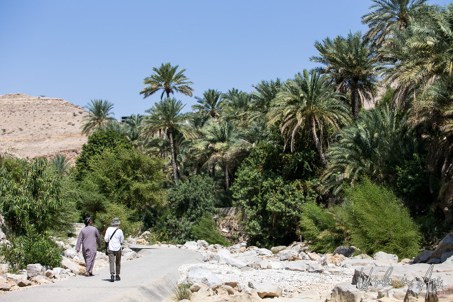 People walking into Wadi Bani Khalid, Oman