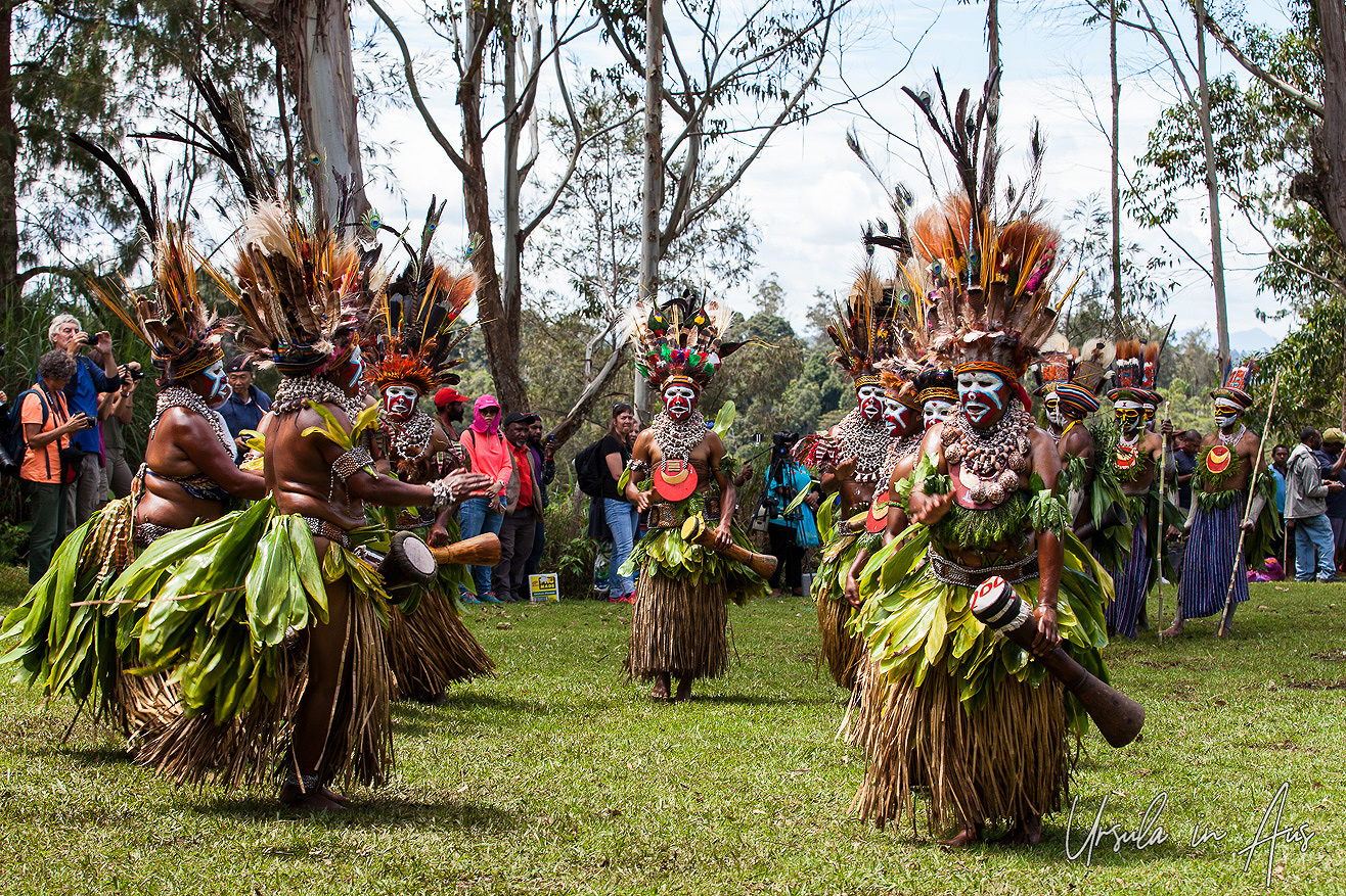 A Sing-Sing, a Mumu, and some Cautionary Tales: Paiya Village, Papua ...