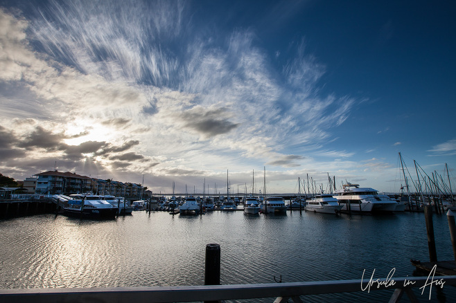 Sailboats on the harbour : Hervey Bay, Queensland Australia