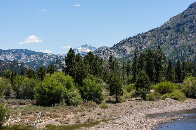 View of riverside valley forest, and surrounding mountains, Stanislaus National Forest, CA USA