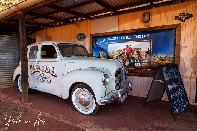 White Austin of England car outside the entry to the Uluru Camel Farm, Yulara NT Australia