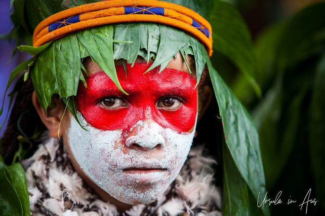 Portrait: Black Mama Wurwur youngster in sing-sing paint and headdress, Mt Hagen Papua New Guinea