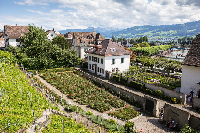 Historic old town Rapperswil and the rose gardens from Lindenhof, Switzerland