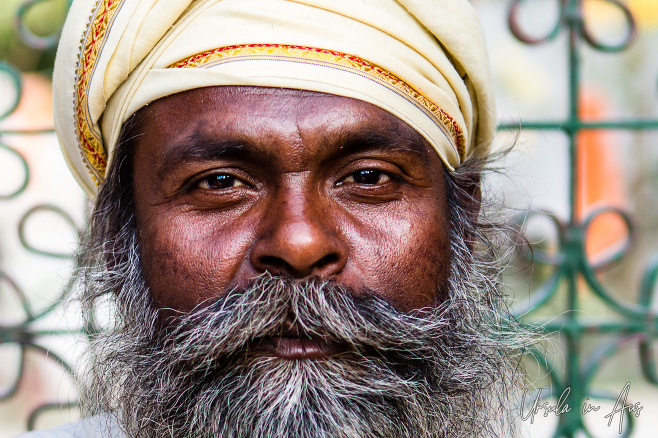 Portrait: grey bearded sadhu in a cream turban, Haridwar, India