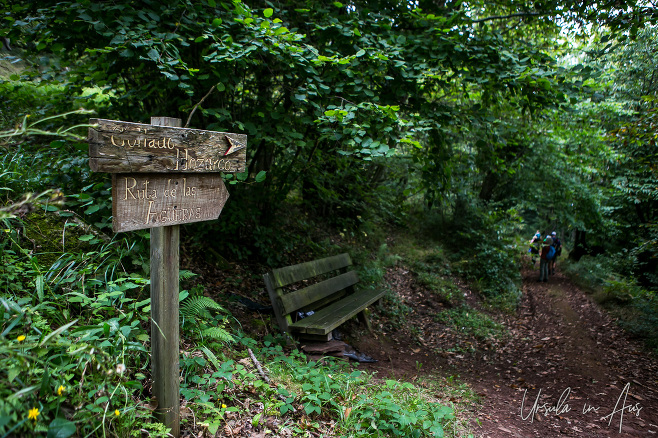 Wooden signpost and bench at a head of the Ruta de las Agüeras, Cantabria, Spain