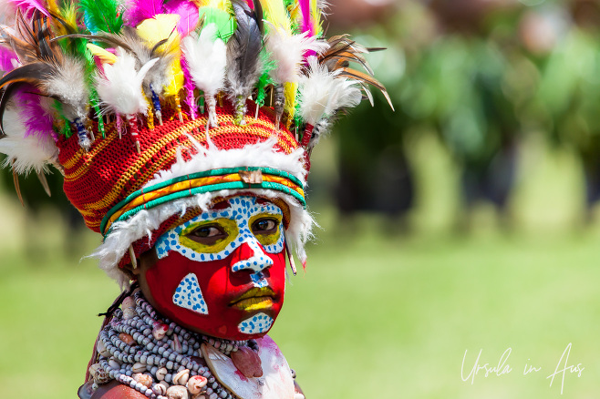 Portrait: young Melpa woman in face paint and feathered headdress, Mt Hagen Cultural Show, PNG