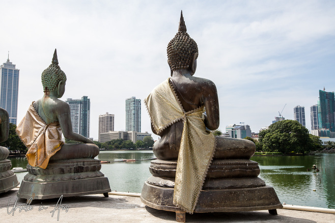 The backs of seated buddhas at Seema Malaka temple, Colombo, Sri Lanka