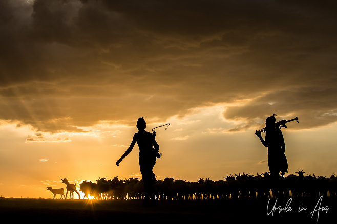 Goatherders silhouetted at sundown, Dus Village Ethiopia