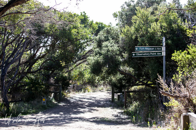 Coles Track to Fort Nepean, Mornington Peninsula, Victoria.