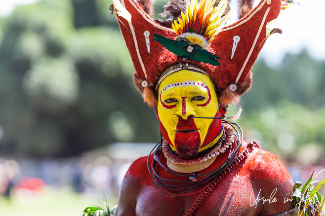 Huli warrior in a ceremonial wig, Mount Hagen PNG