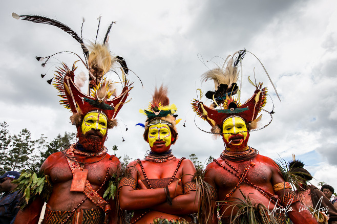 Portrait: two Huli Wigmen and a woman in yellow face paint and headdresses, Mount Hagen PNG