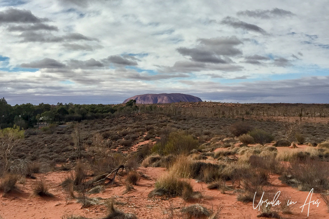 Uluru from Imalung lookout, Yulara NT Australia