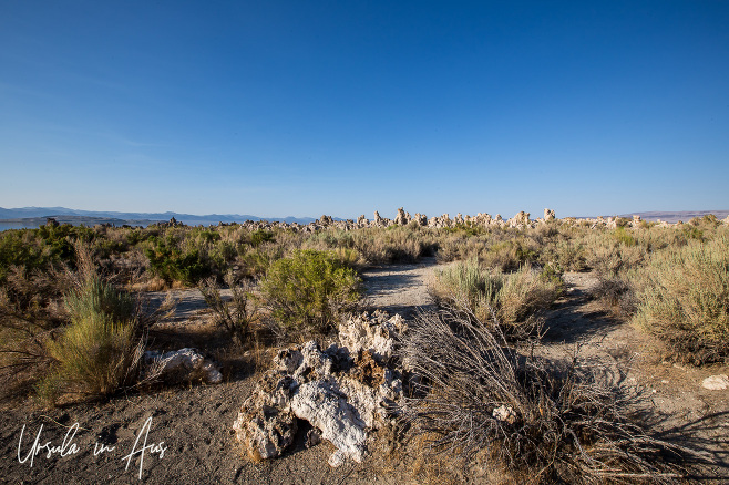 Landscape, South Tufa Area, Mono Lake Tufa State Natural Reserve, California USA