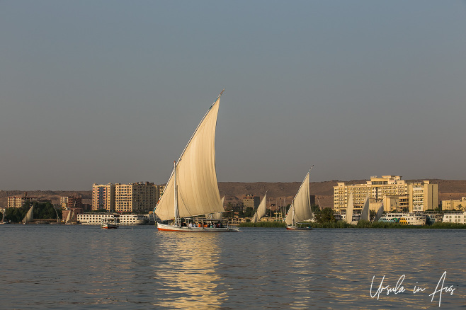 Feluccas sailing on the Nile at Aswan, Egypt