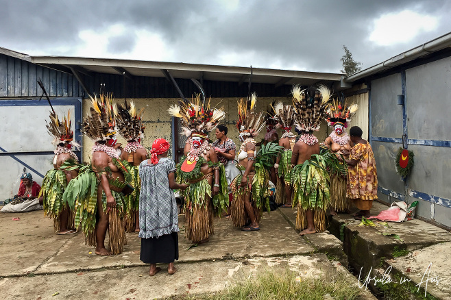Western Highlands women in festival costume dancing in a school grounds, Mt Hagen, Papua New Guinea