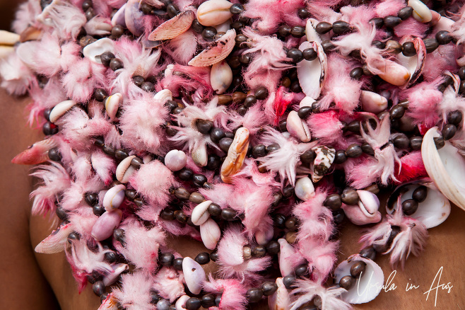 Close-up: Pink feathers and fur strung with shells, Mt Hagen, Papua New Guinea