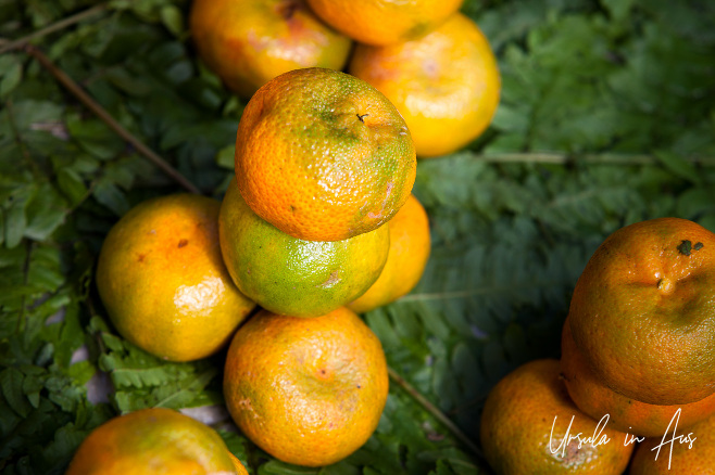 Oranges in piles, Mount Hagen Market, PNG