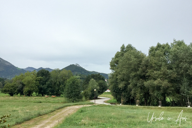 Panes Botanical Gardens and mountain backdrop, Asturias Spain.