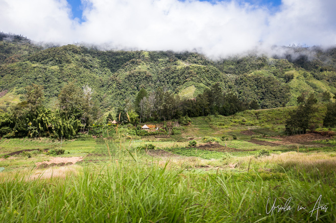 View of green fields and hills into cloud, Papua New Guinea